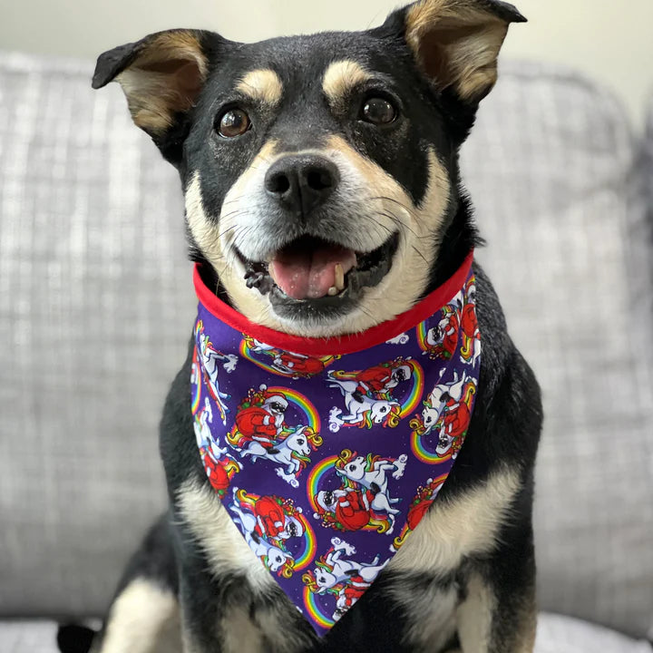 Pet christmas discount bandanas