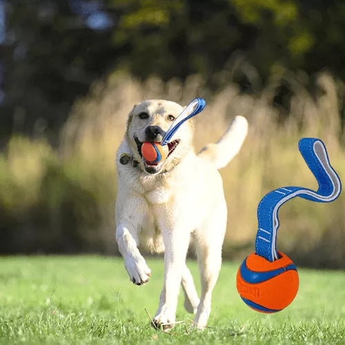 Chuckit! Ultra Tug Ball