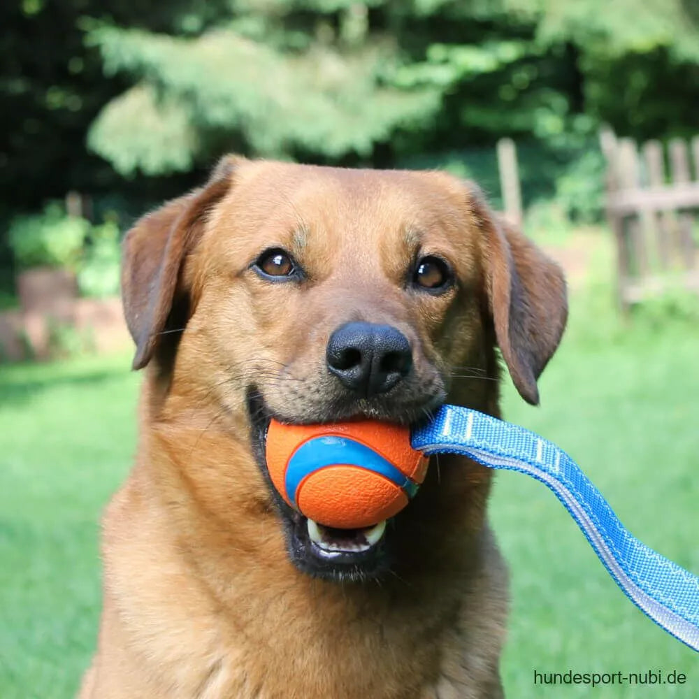 Chuckit! Ultra Tug Ball
