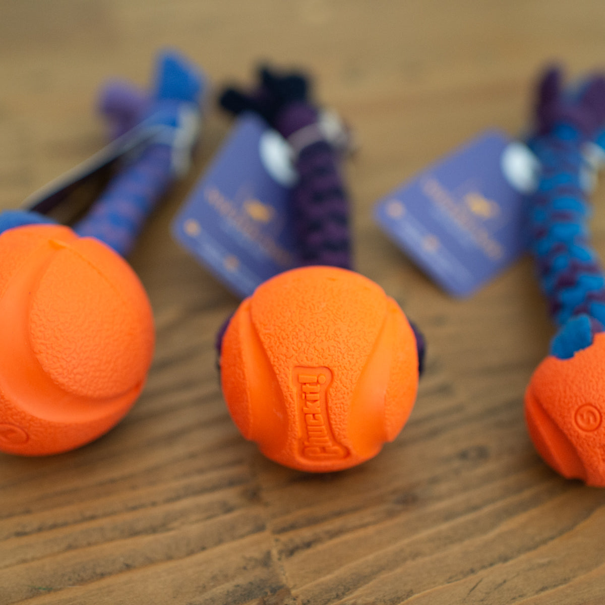 Fetch and Go Ball