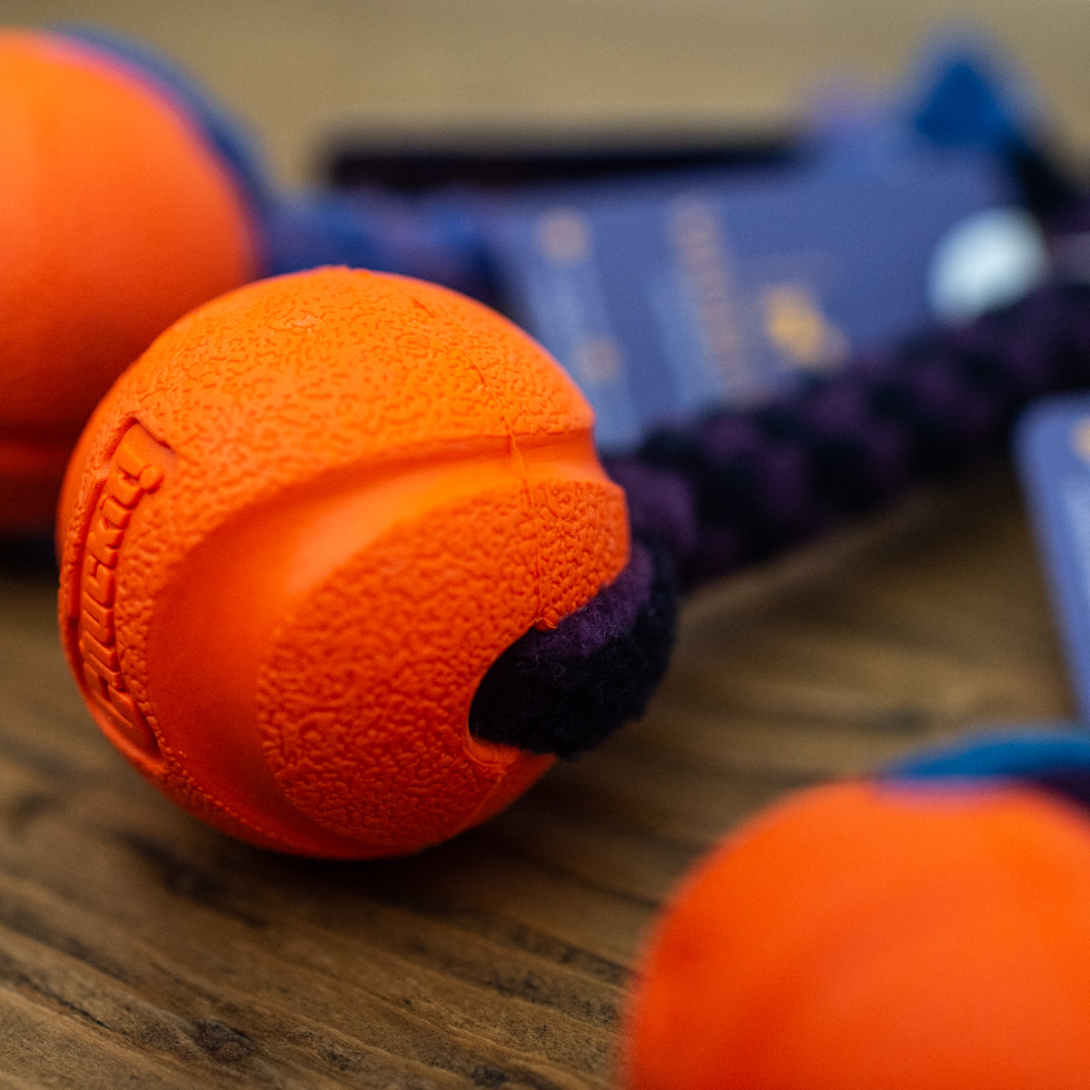Fetch and Go Ball