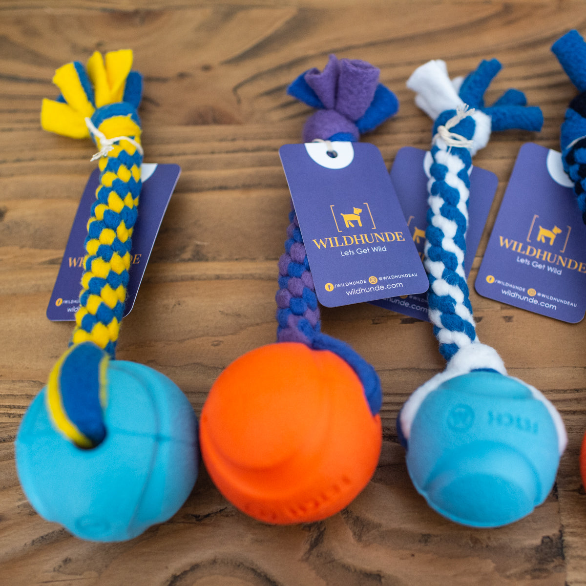 Fetch and Go Ball