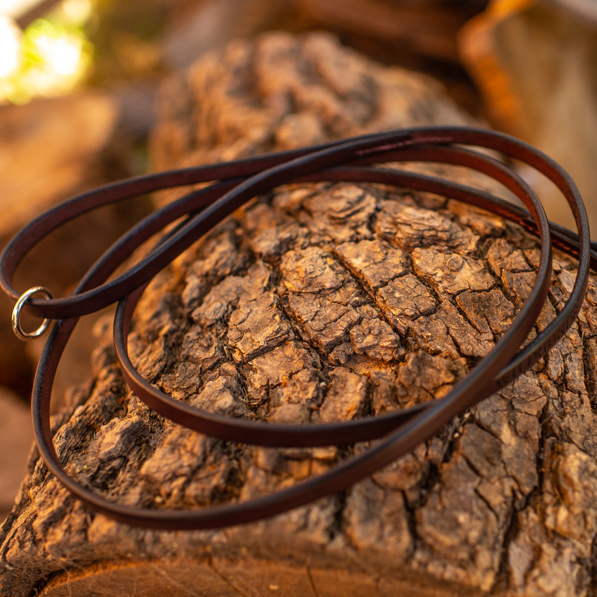 1/2" Dark Chocolate 6ft Leather Leash