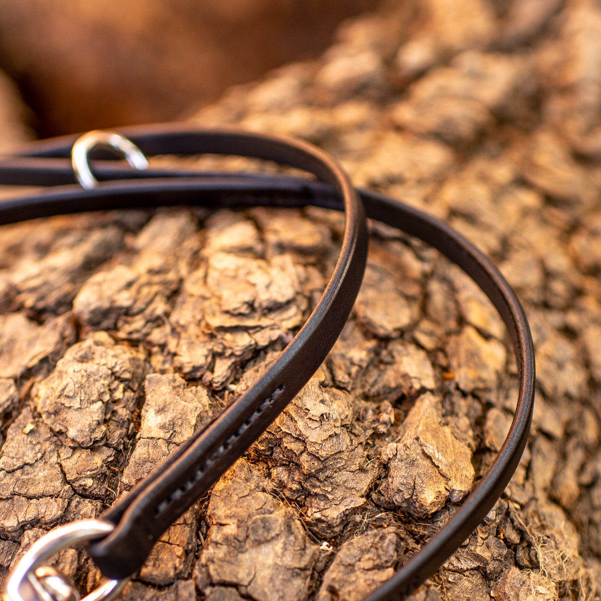 1/2" Ebony Black 6ft Leather Leash