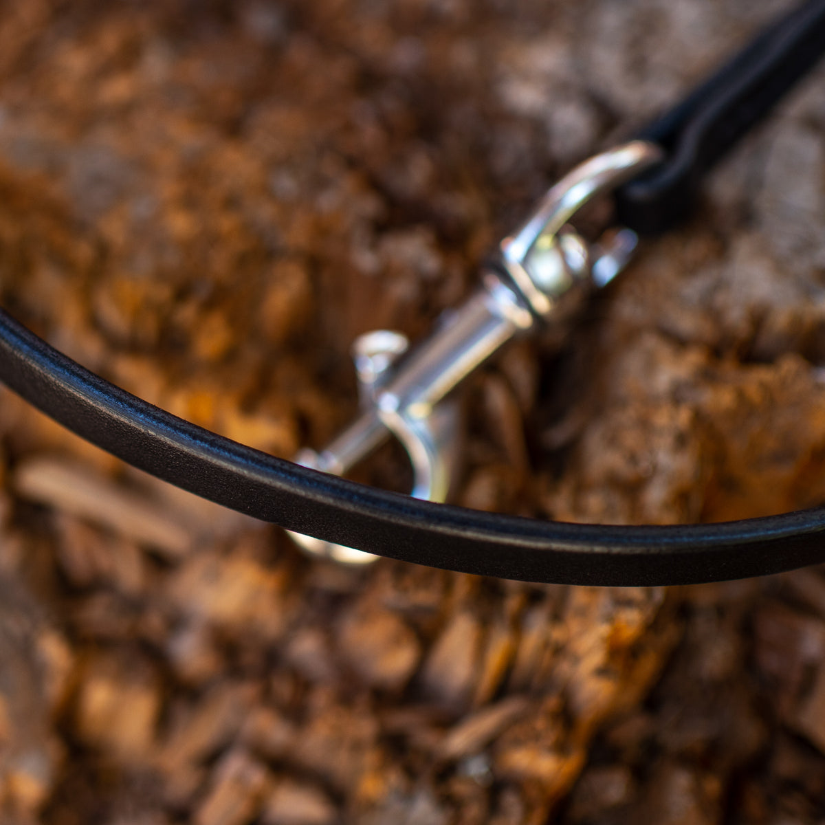 1/2" Ebony Black 6ft Leather Leash