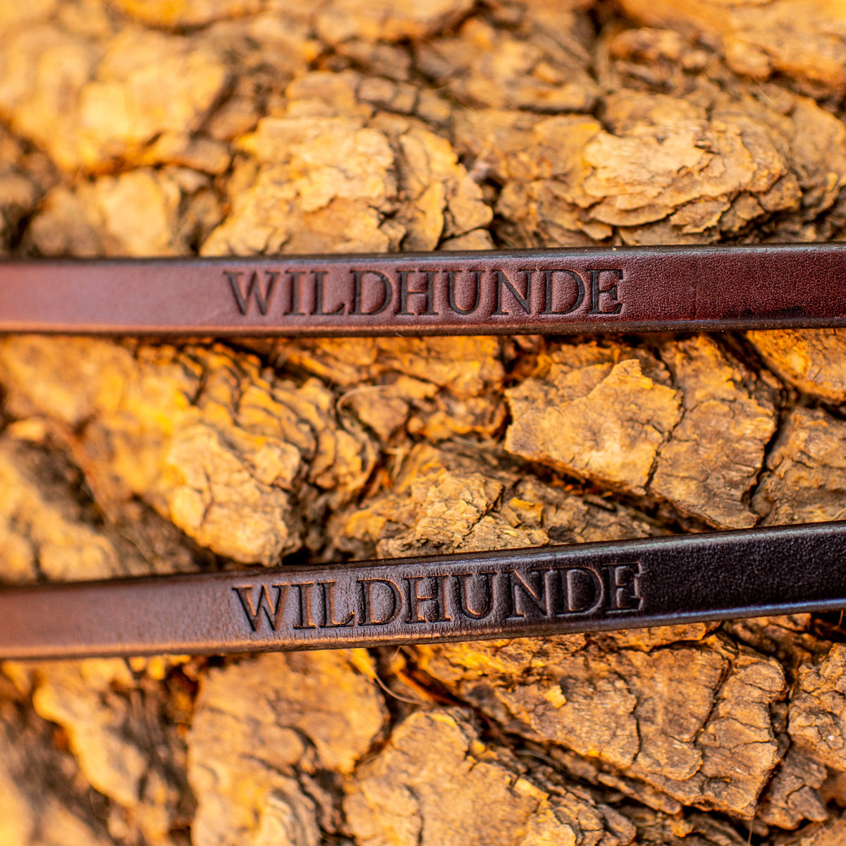1/2" Dark Chocolate 6ft Leather Leash