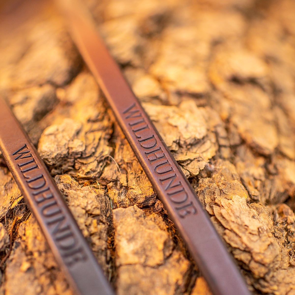 1/2" Dark Chocolate 6ft Leather Leash