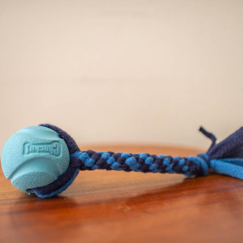 Fetch and Go Ball