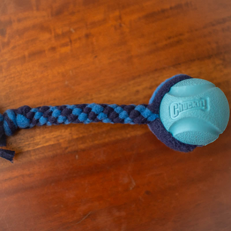 Fetch and Go Ball