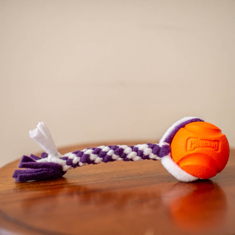 Fetch and Go Ball