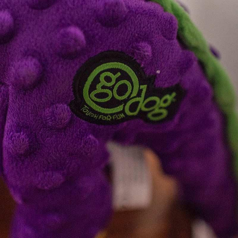 goDog Brontosaurus
