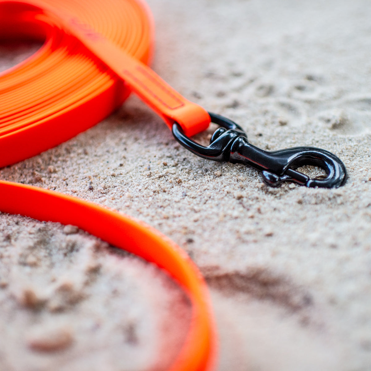 Biothane Puppy Light Long Line 10m