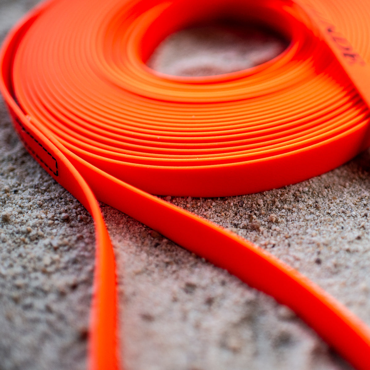 Biothane Puppy Light Long Line 10m
