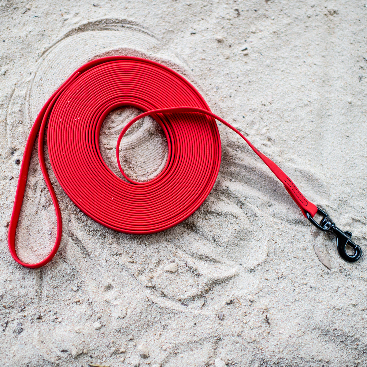Biothane Puppy Light Long Line 10m