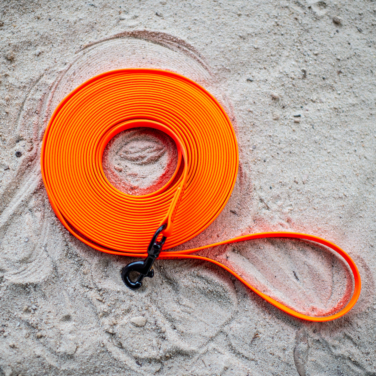 Biothane Puppy Light Long Line 10m