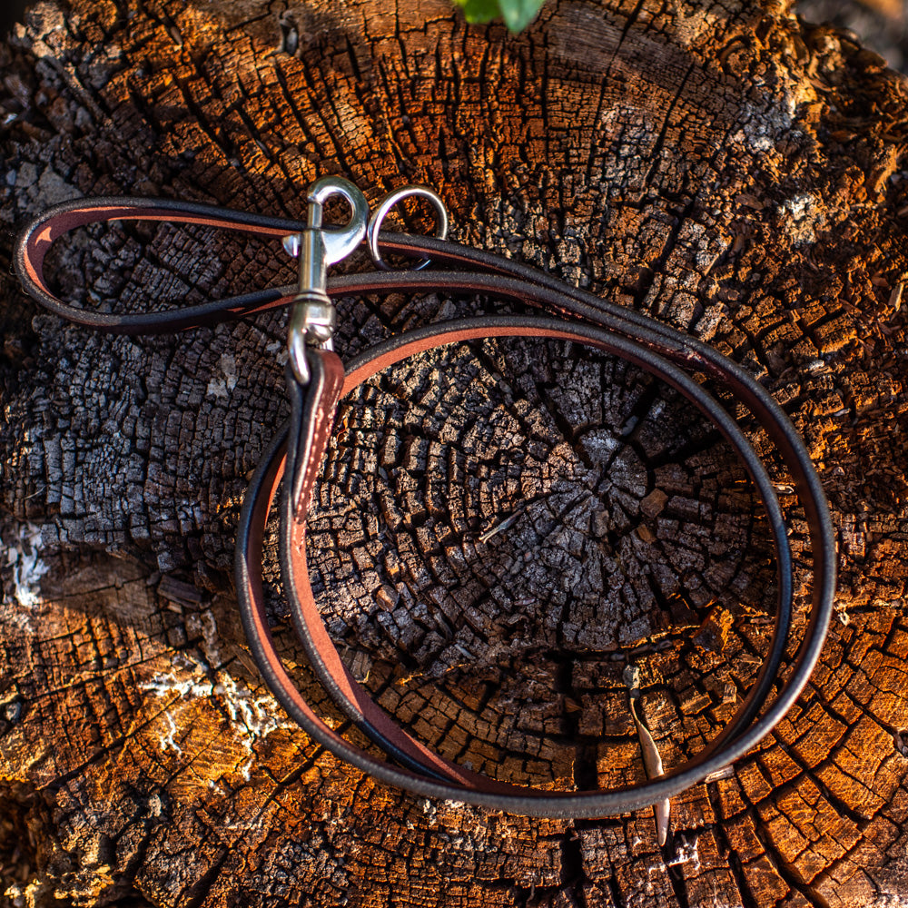 3/4" Dark Chocolate 6ft Leather Leash