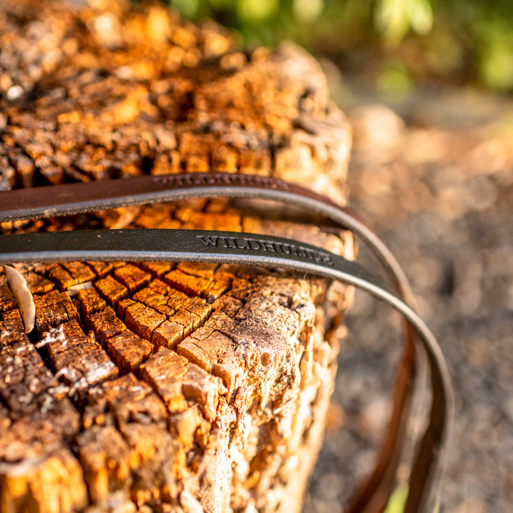 3/4" Ebony Black 6ft Leather Leash