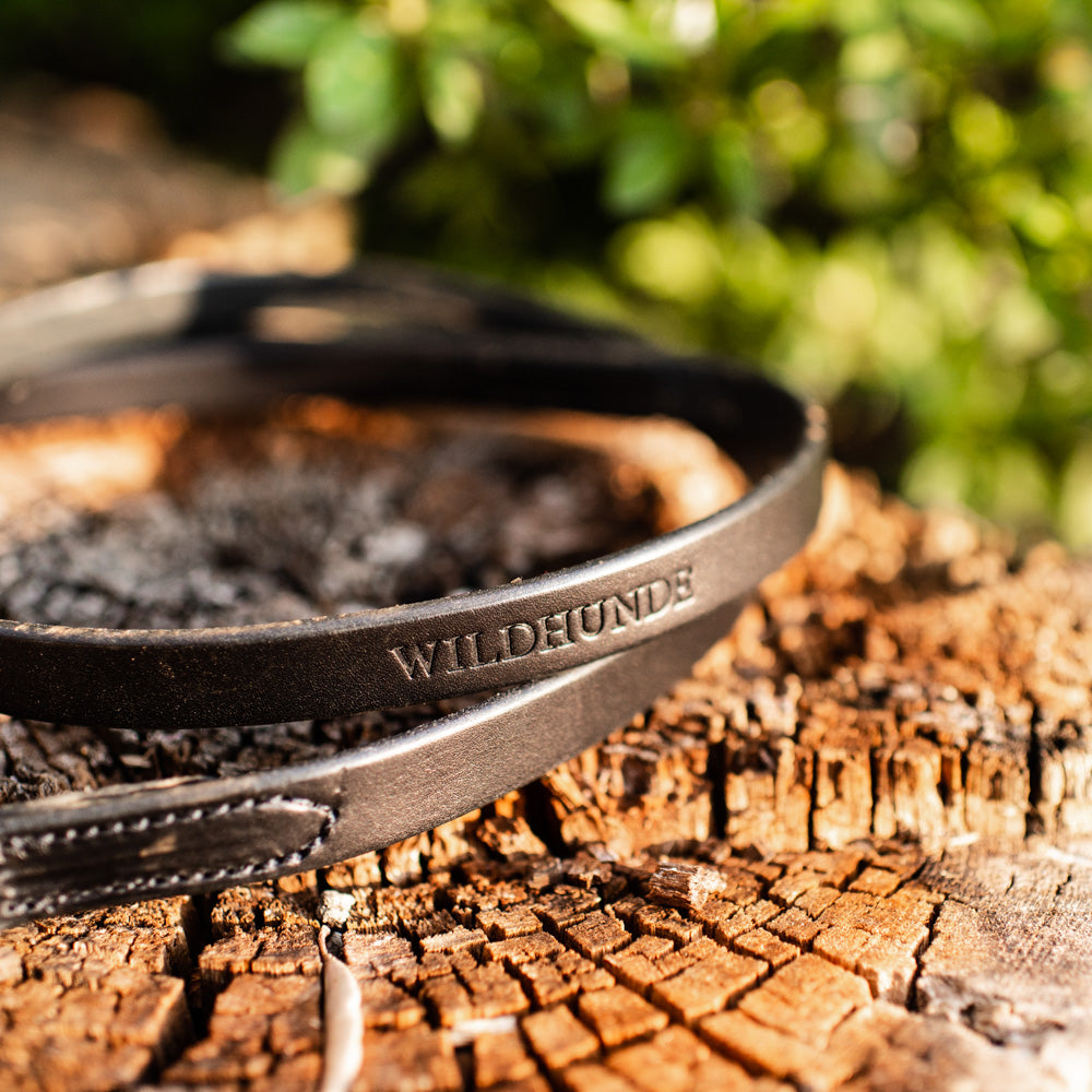 3/4" Ebony Black 6ft Leather Leash