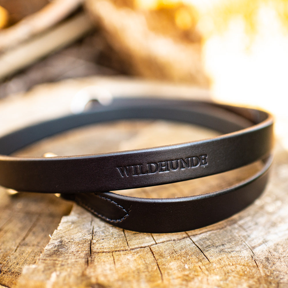 1" Ebony Black 6ft Leather Leash