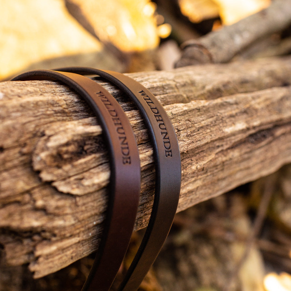 1" Dark Chocolate 4ft Leather Leash