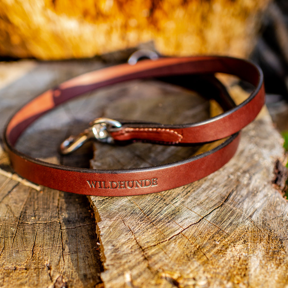 1" Dark Chocolate 4ft Leather Leash