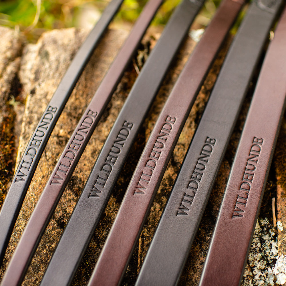 1/2" Dark Chocolate 4ft Leather Leash