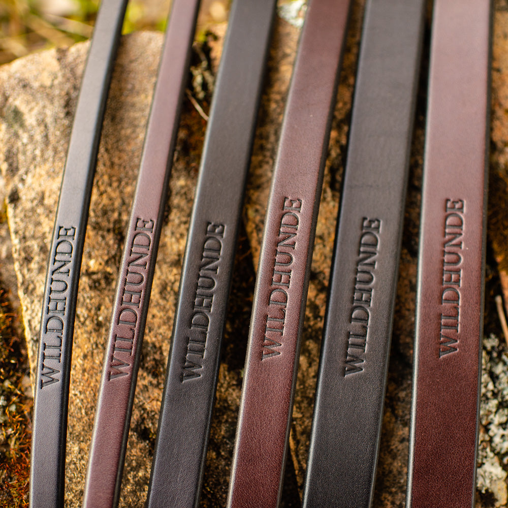 3/4" Ebony Black 6ft Leather Leash