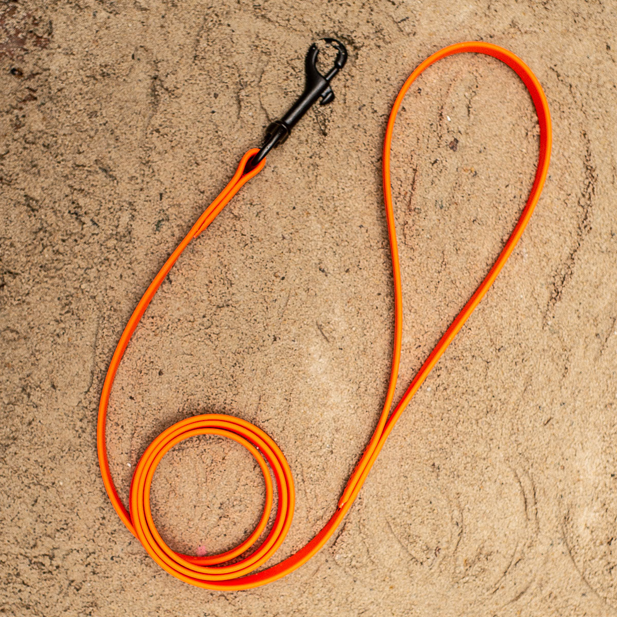 Biothane Light Weight Leash 4ft (120cm/1.2m)