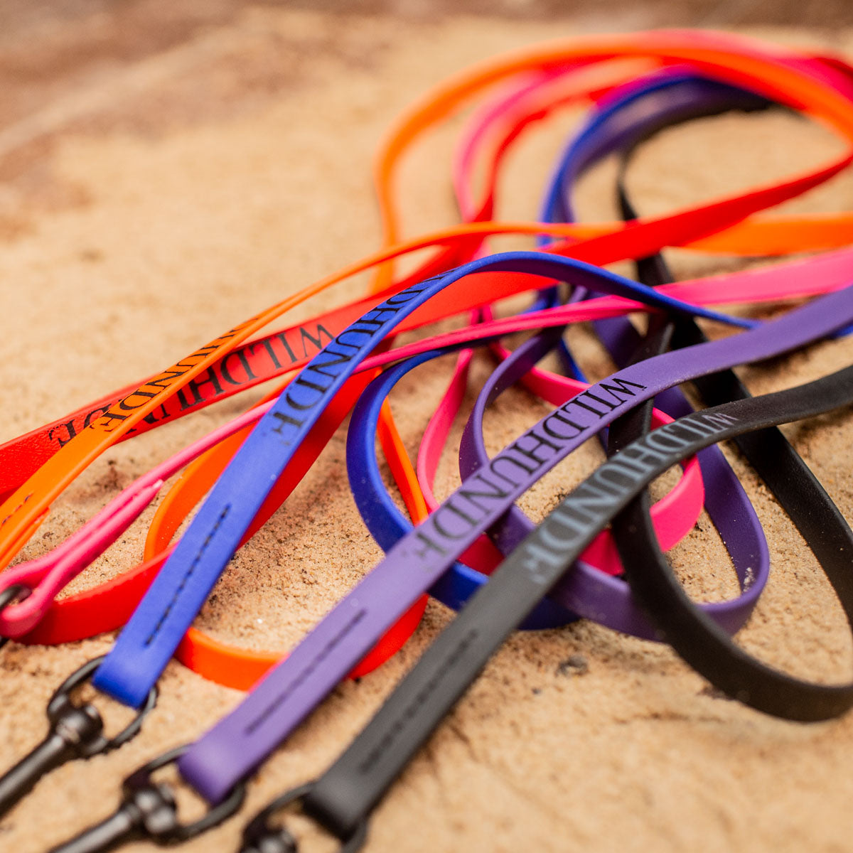 Biothane Light Weight Leash 4ft (120cm/1.2m)