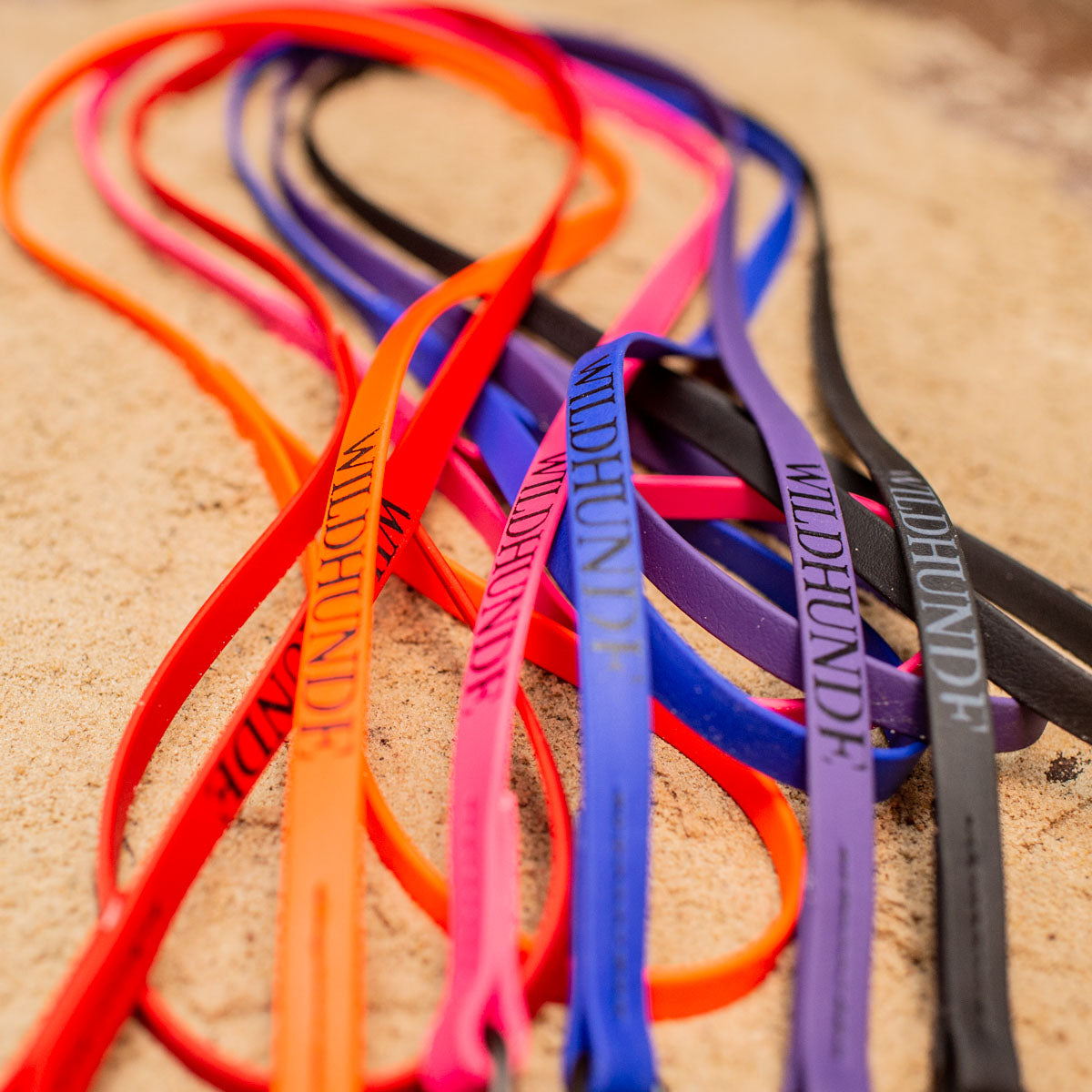 Biothane Light Weight Leash 4ft (120cm/1.2m)