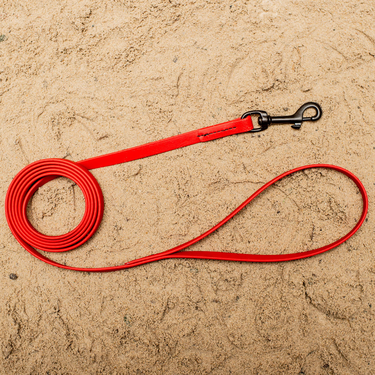 Biothane Leash 4ft (120cm/1.2m)