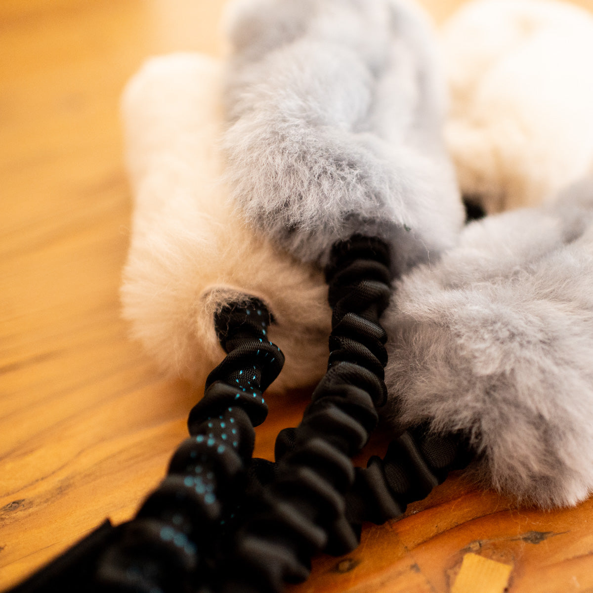 Wild-Tug Sheepskin Bungee Tug Toy