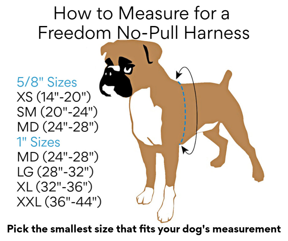 2 Hounds Freedom No-Pull Dog Harness