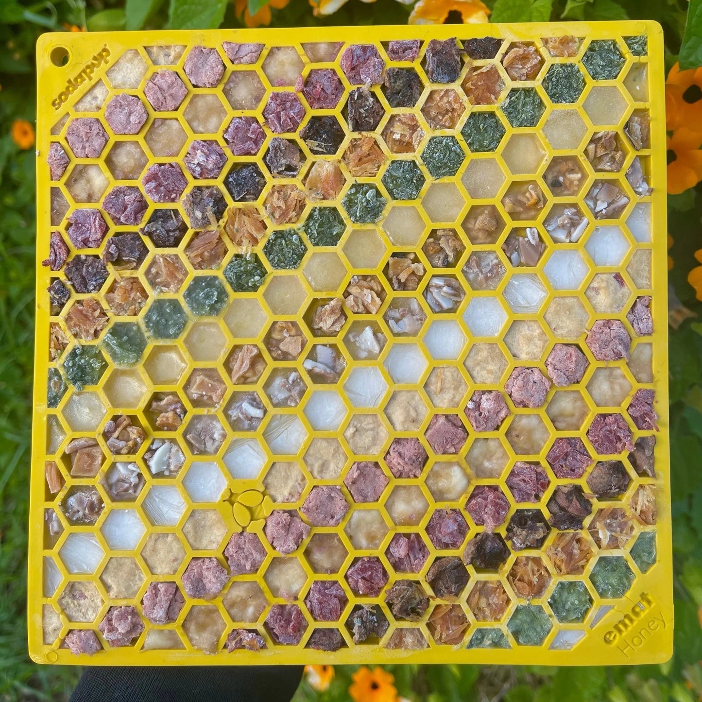 SodaPup Honeycomb Enrichment Mat