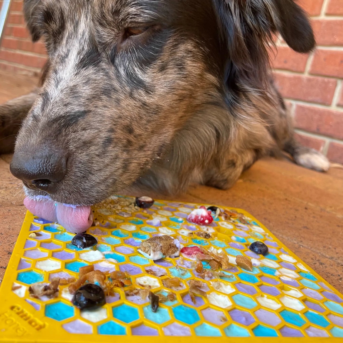 SodaPup Honeycomb Enrichment Mat