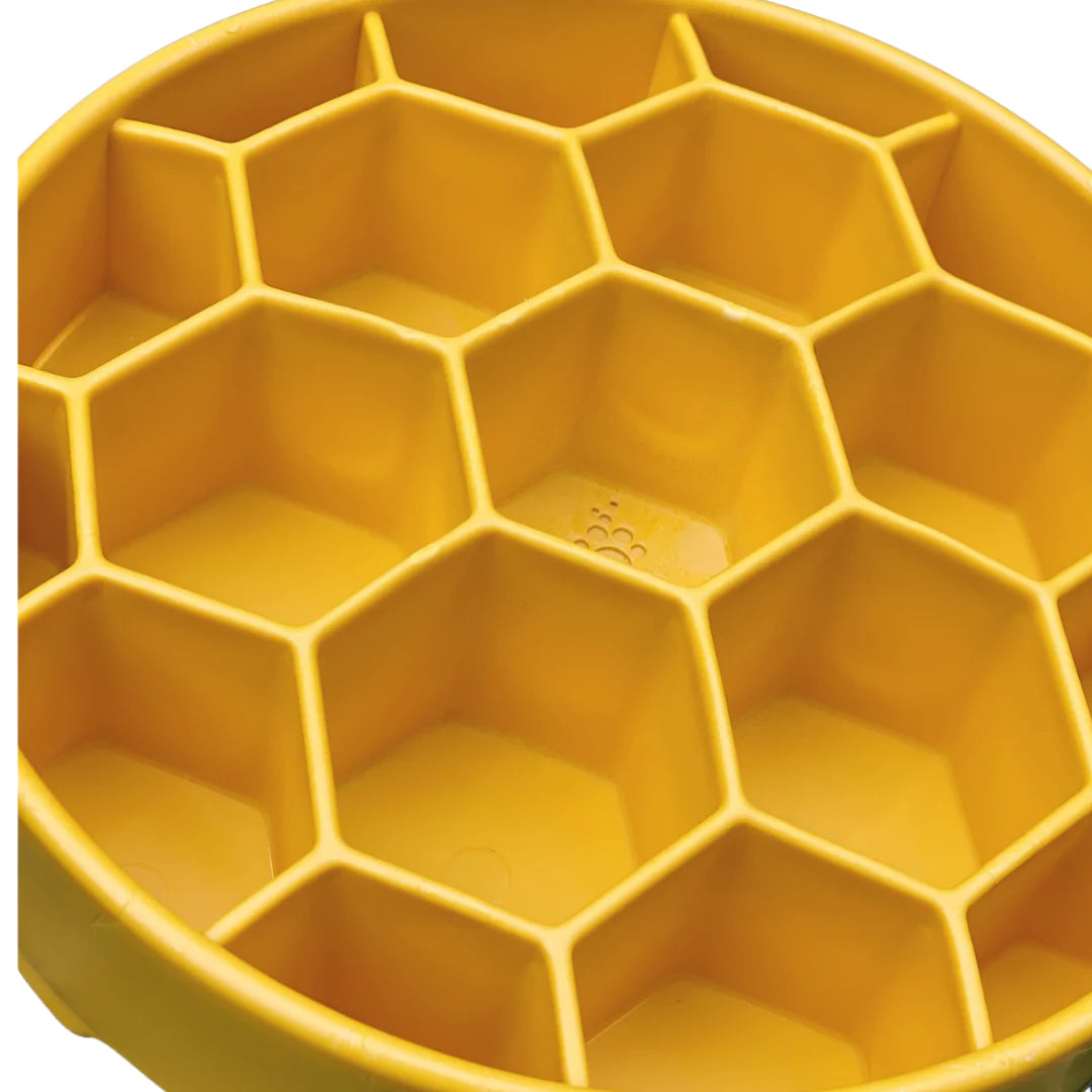 Sodapup Honeycomb Enrichment Bowl