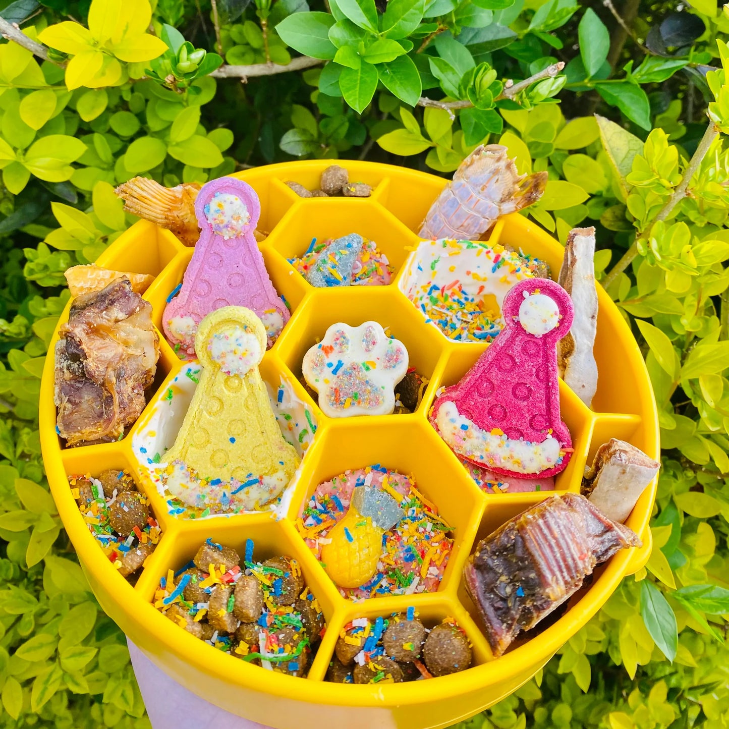 Sodapup Honeycomb Enrichment Bowl