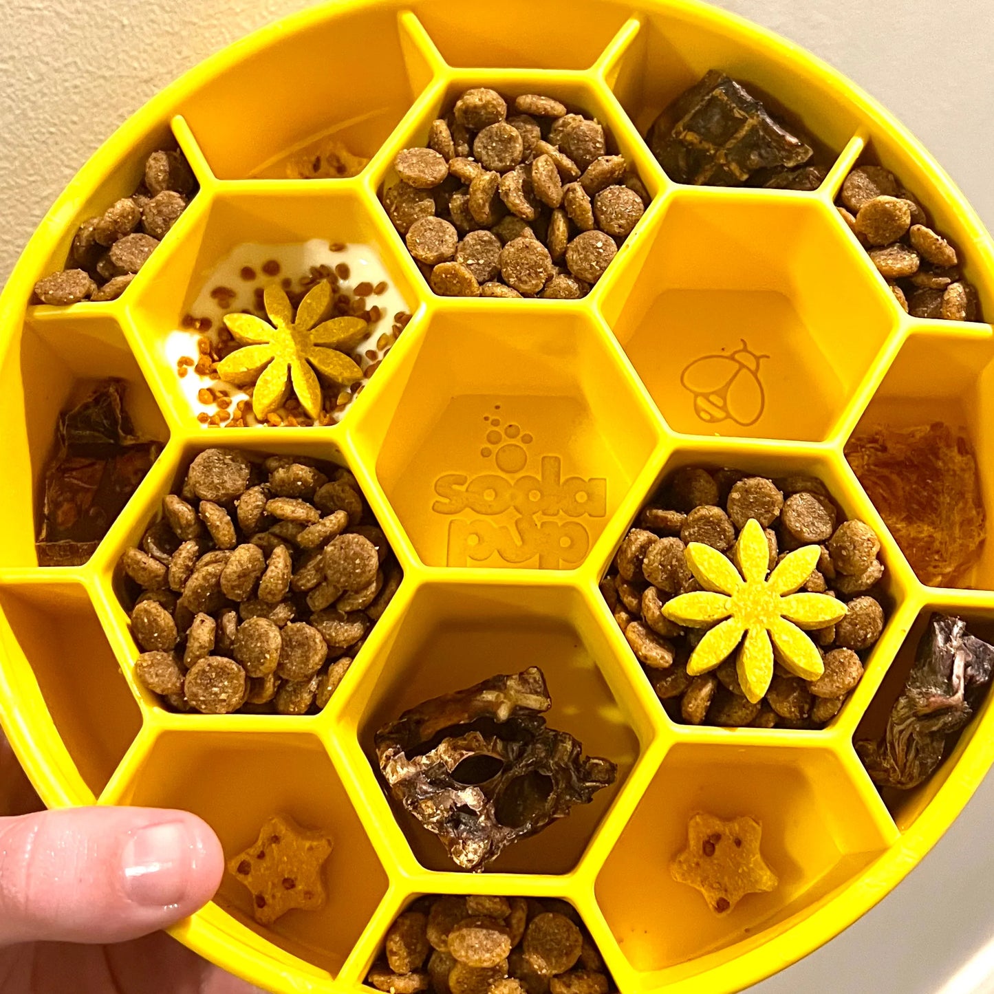 Sodapup Honeycomb Enrichment Bowl