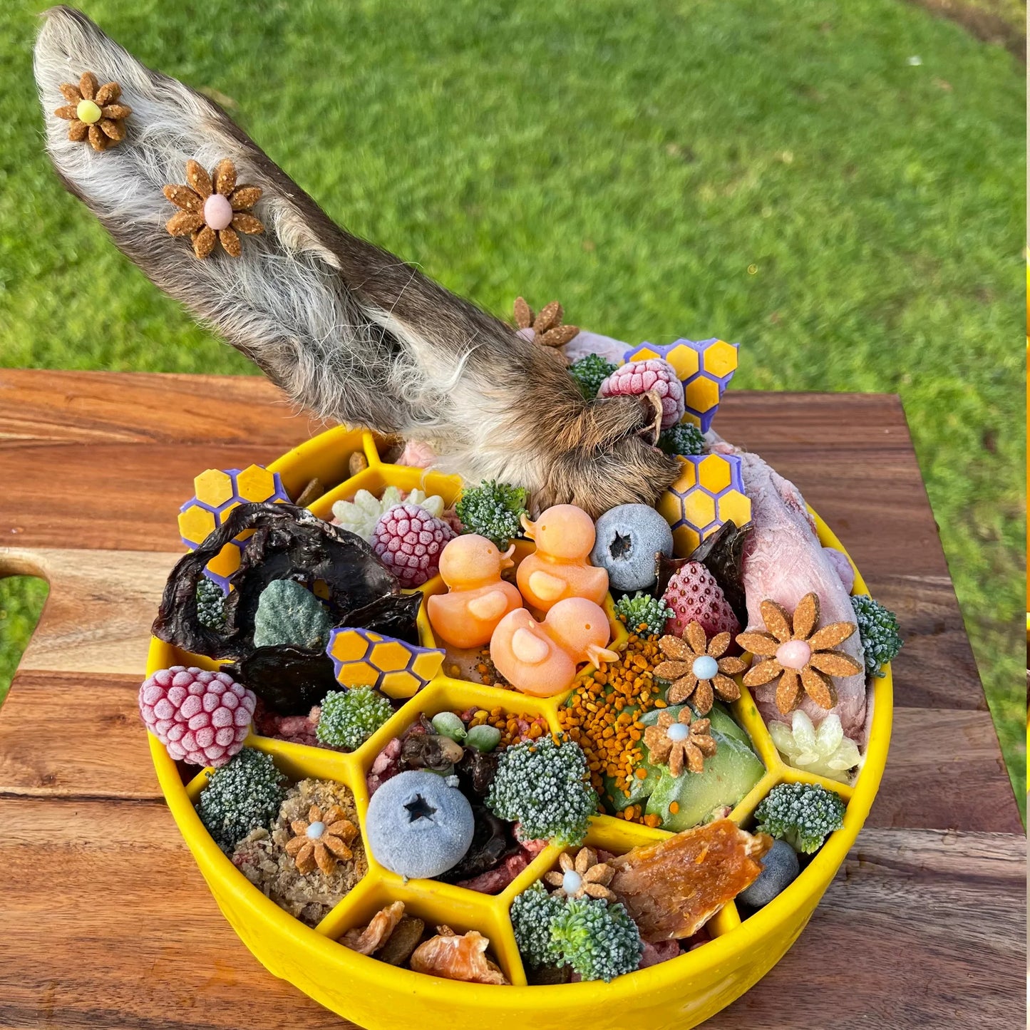 Sodapup Honeycomb Enrichment Bowl