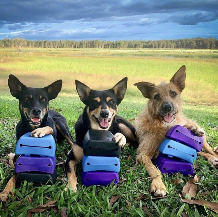 The Original Trainers Pouch