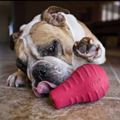 Jolly Pets Tuff Toppler