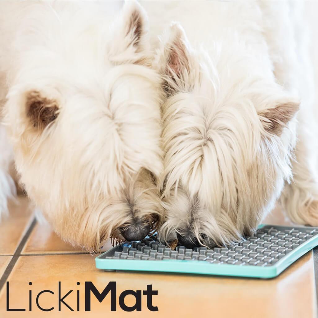 LickiMat Buddy Tuff