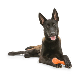 West Paw Hurley Toy