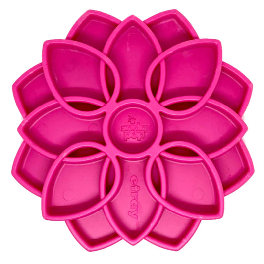 SodaPup Mandala Enrichment Tray