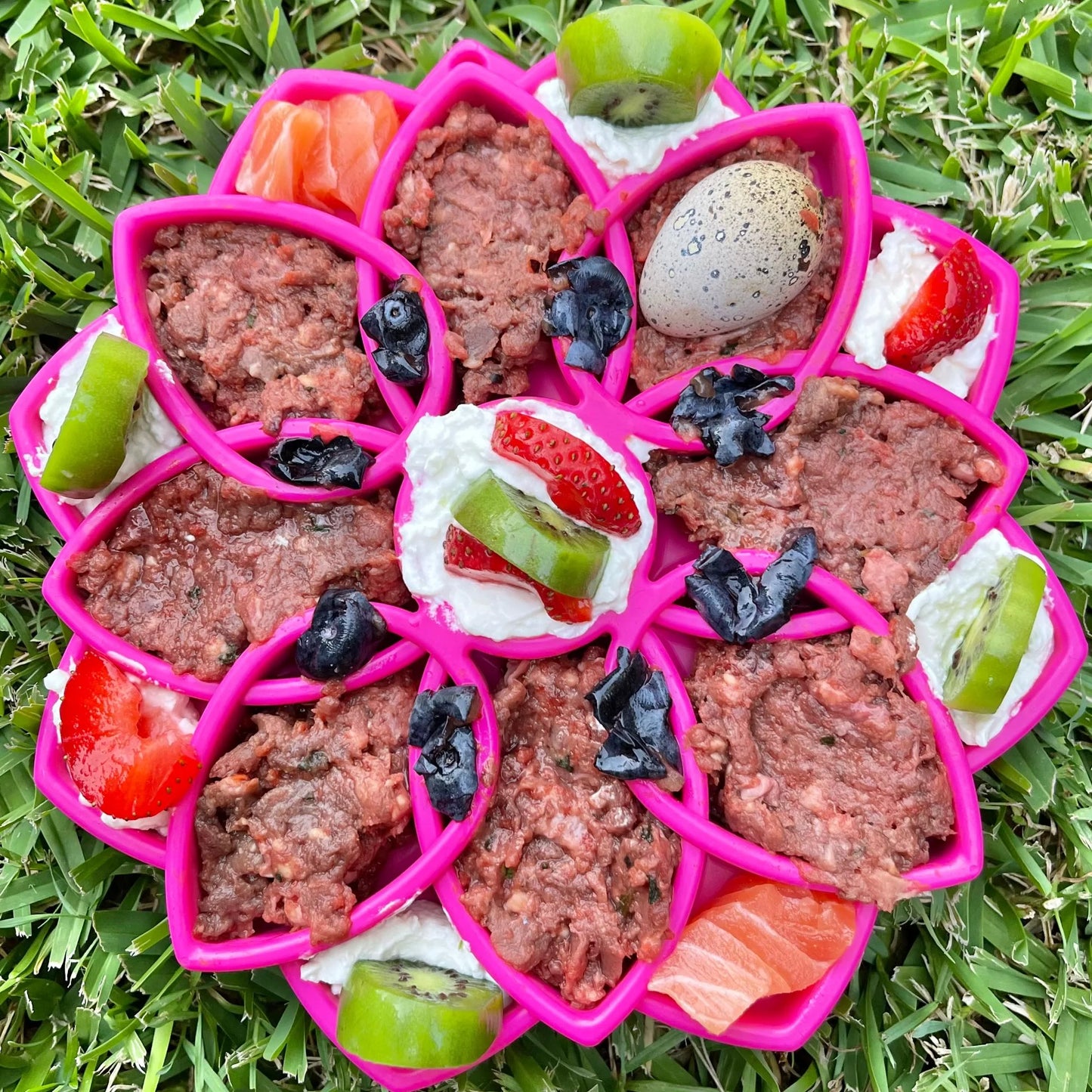 SodaPup Mandala Enrichment Tray