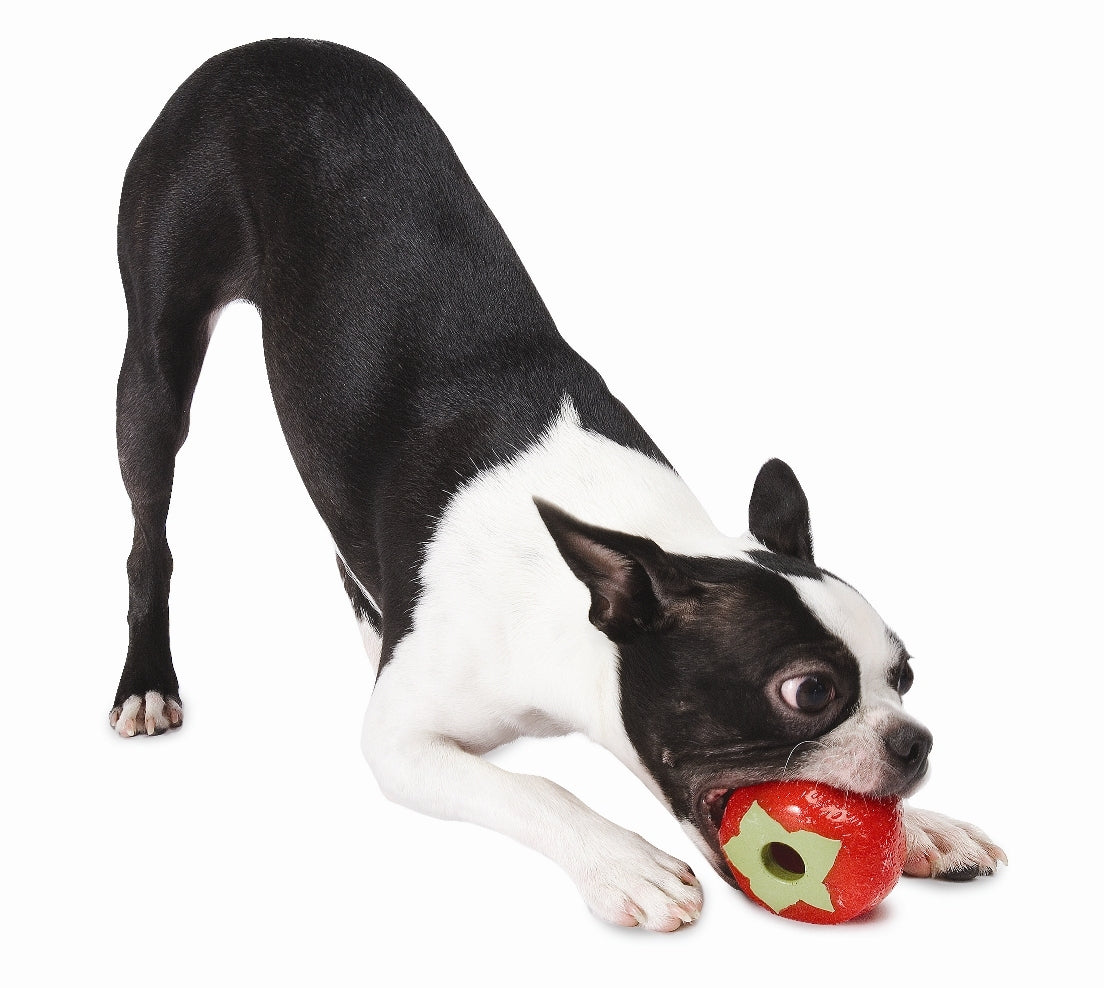Orbee-Tuff Foodies Strawberry