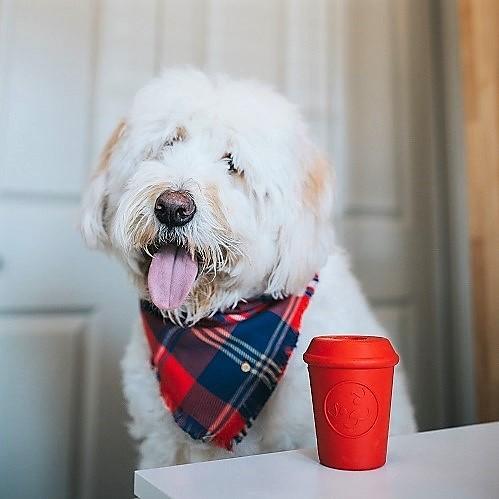 SodaPup Durable Rubber Coffee Cup