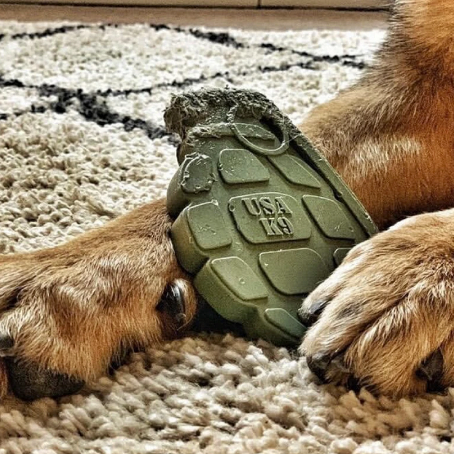 SodaPup Ultra Durable Nylon Grenade