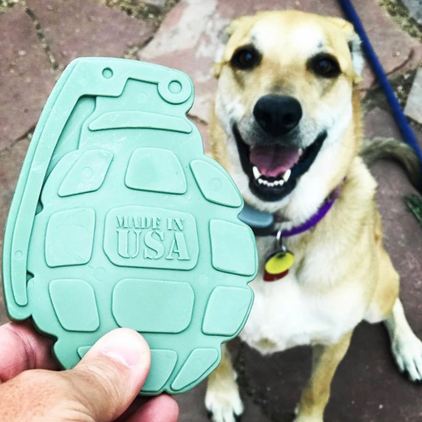 SodaPup Ultra Durable Nylon Grenade