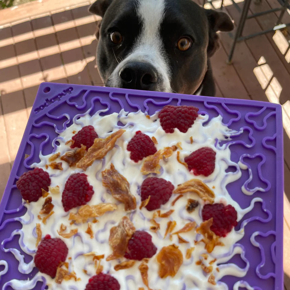 SodaPup Bones Enrichment Mat